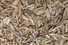 biomass boilers Chatburn
